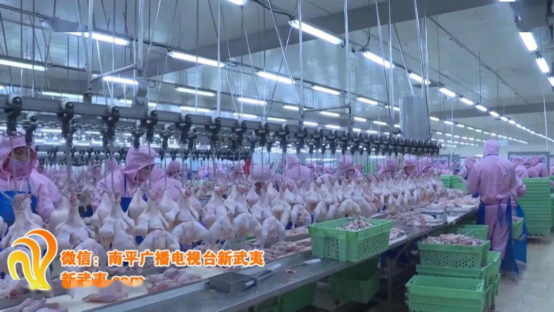 牢记总书记嘱托 书写新南平答卷 〉南平启动"绿色引擎" 促经济提质增效
